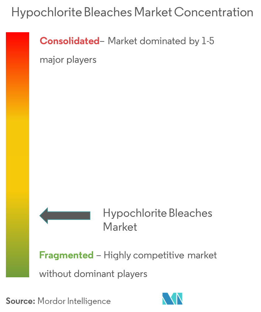 Hypochlorite Bleaches Market - Market Concentration